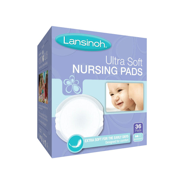  Lansinoh Stay Dry Disposable Nursing Pads, 100 Count : Baby