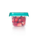 Oxo Tot Baby Blocks Freezer Storage Containers (6 oz)