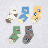 Ifmom Dito Socks 5Pcs