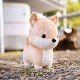 Bellzi Shibi the Shiba Inu