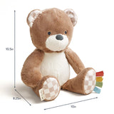 Itzy Ritzy Sweetie Snuggles Plush-Bear