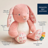 Itzy Ritzy Sweetie Snuggles Plush-Bunny